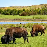 俄克拉荷马雷霆内部会议纪要流出：赛后防线松动，西甲使命明确，赛程密集仍需轮换